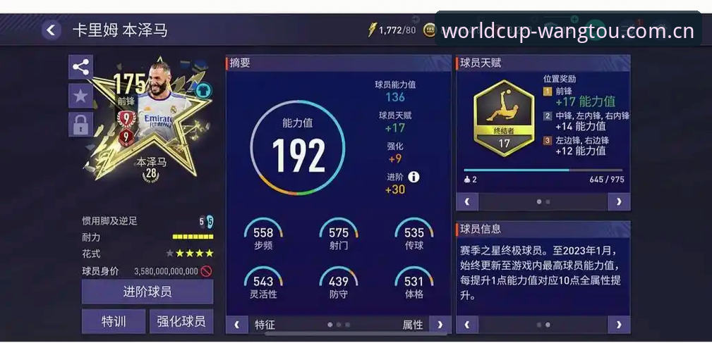 深度揭秘世界杯投注功能：你不知道的操作细节与数据真相